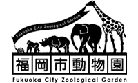28年ぶり！「福岡市動物園」の入園料の引き上げ実施！！